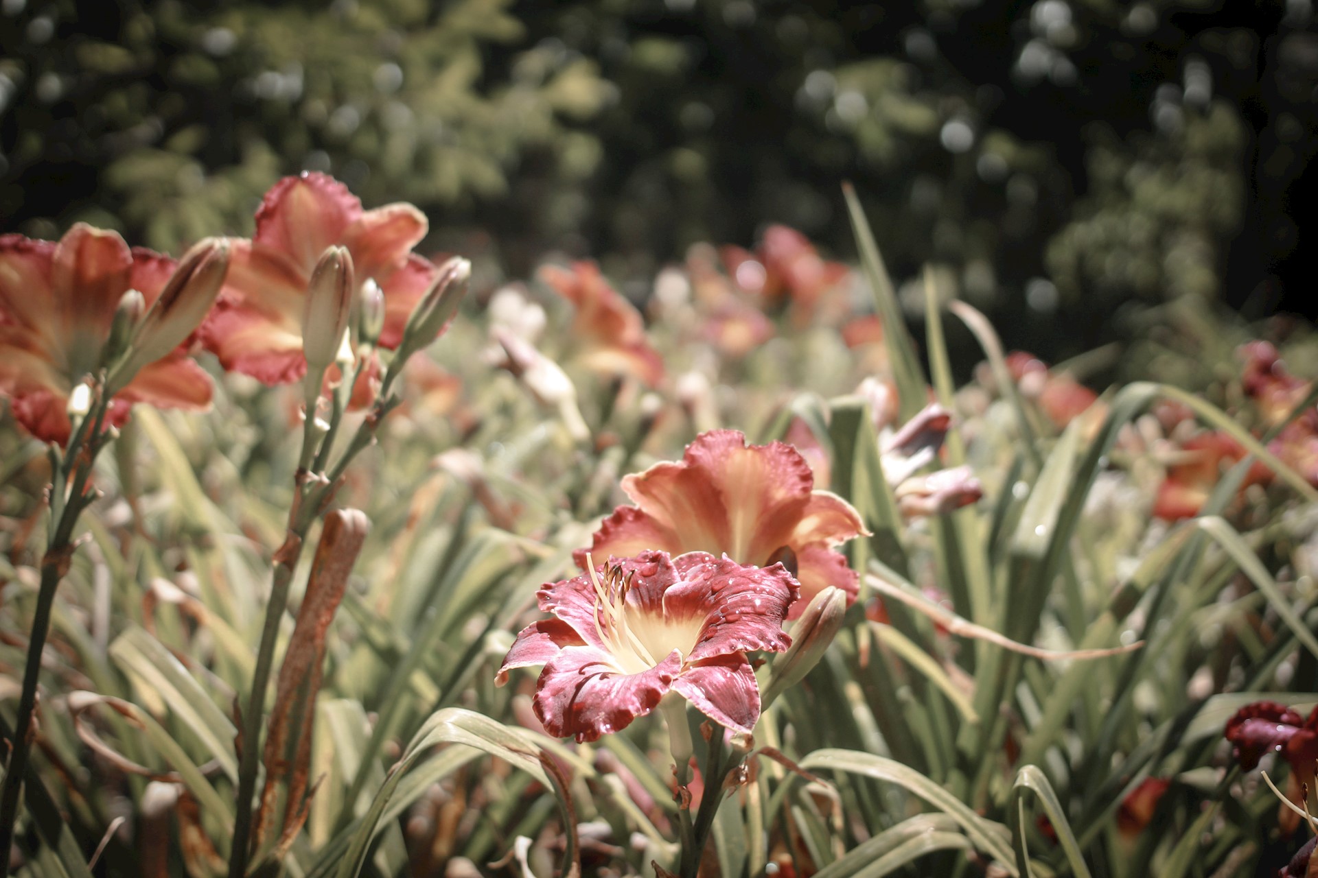 EMOVERE - NAAR BUITEN BEWEGEN