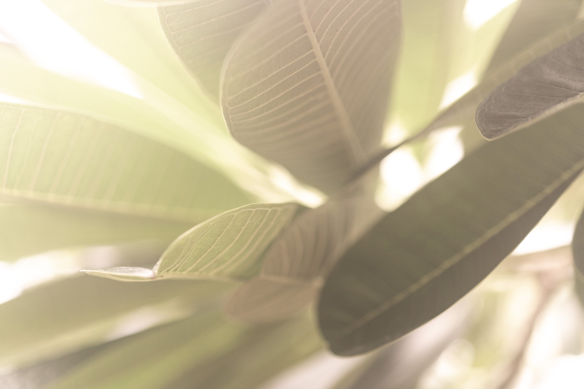 VOELEN, DENKEN EN HANDELEN